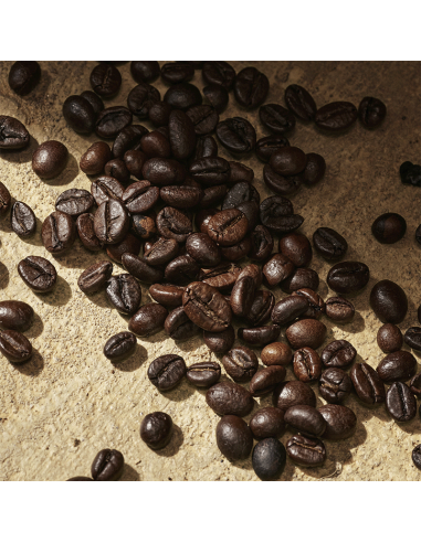 Devotion Pour Homme Dolce&Gabbana