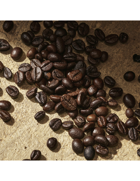 Devotion Pour Homme Dolce&Gabbana