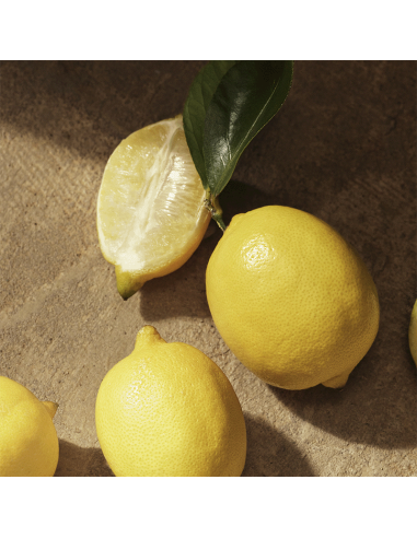 Devotion Pour Homme Dolce&Gabbana