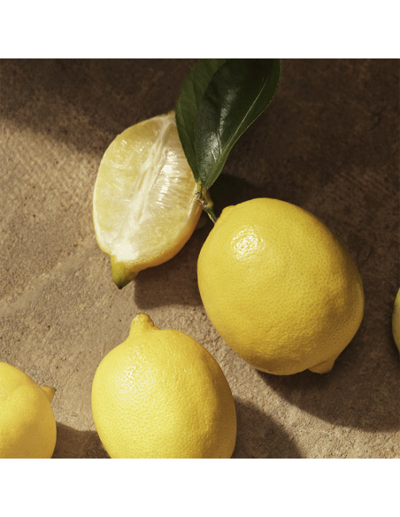 Devotion Pour Homme Dolce&Gabbana