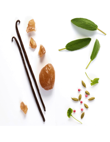 Emporio Armani Stronger With You Eau De Toilette