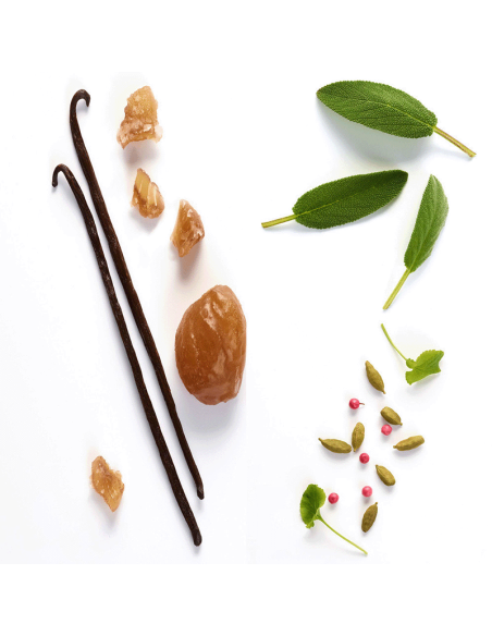 Emporio Armani Stronger With You Eau De Toilette