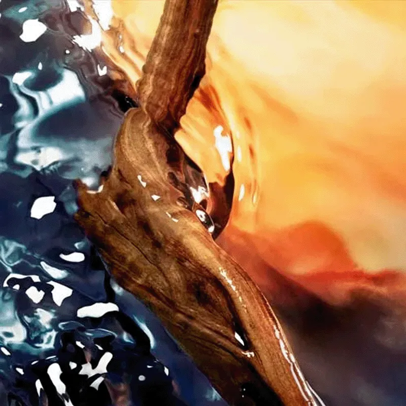 Cool Water Reborn Davidoff Eau De Parfum | ESENNIA