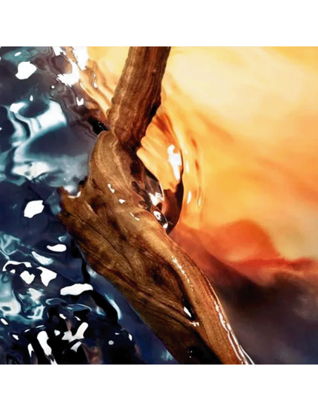 Cool Water Reborn Davidoff Eau De Parfum