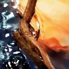 Cool Water Reborn Davidoff Eau De Parfum | ESENNIA