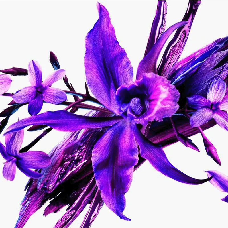 Alien Extraintense Mugler Eau De Parfum | ESENNIA