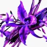 Alien Extraintense Mugler Eau De Parfum | ESENNIA