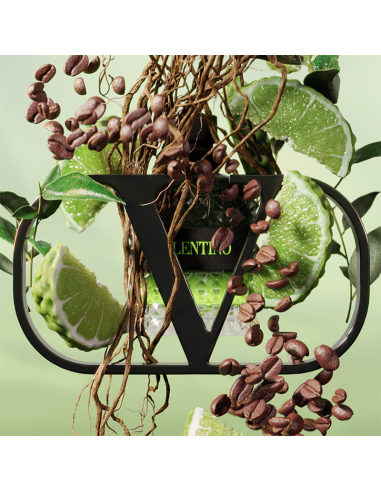 Valentino Uomo Born in Roma Green Stravaganza...