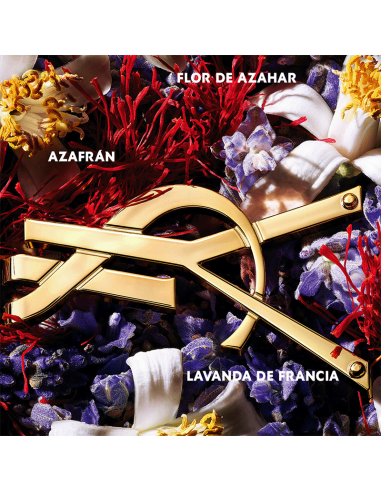 Libre Le Parfum Yves Saint Laurent