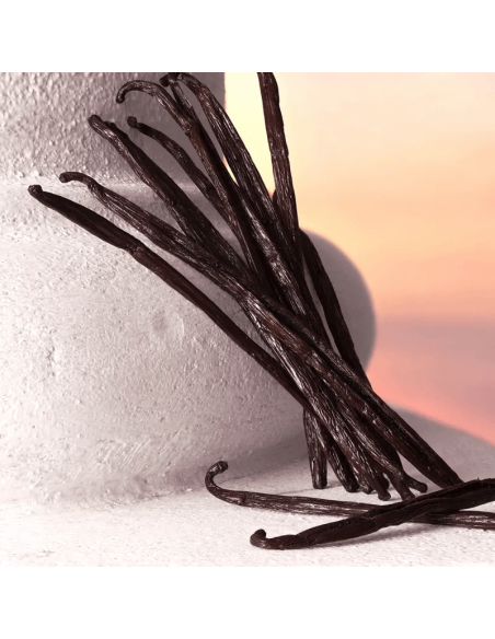 Devotion Intense Dolce&Gabbana