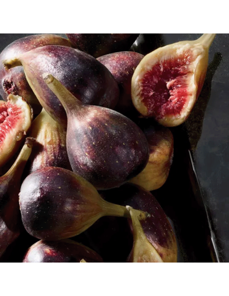 K by Dolce & Gabbana Eau de Parfum Intense Dolce&Gabbana