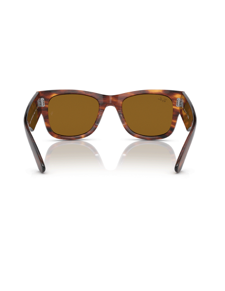 RAYBAN 954/33 - Habana a rayas