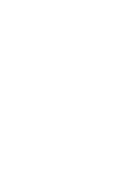 ARMAND BASI
