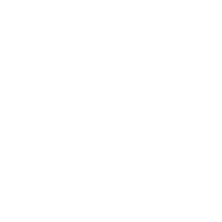 N.CERRUTI