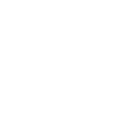 Angel Schlesser