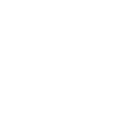 ARMAND BASI